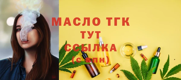 гашик Богородск