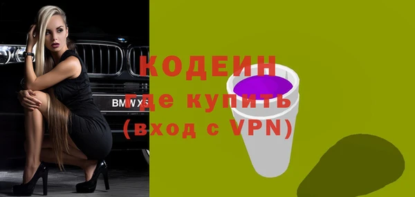 ECSTASY Бородино