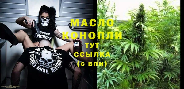 ECSTASY Бородино