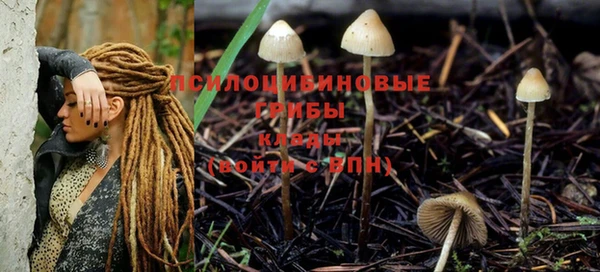 a pvp Богданович
