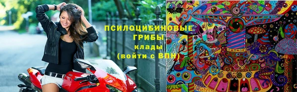 ECSTASY Бородино