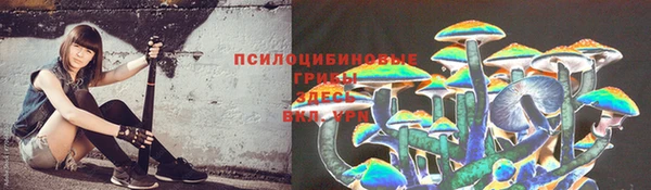ECSTASY Бородино