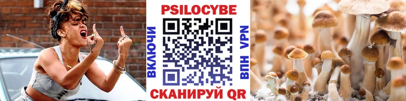 Галлюциногенные грибы прущие грибы  Дубна 